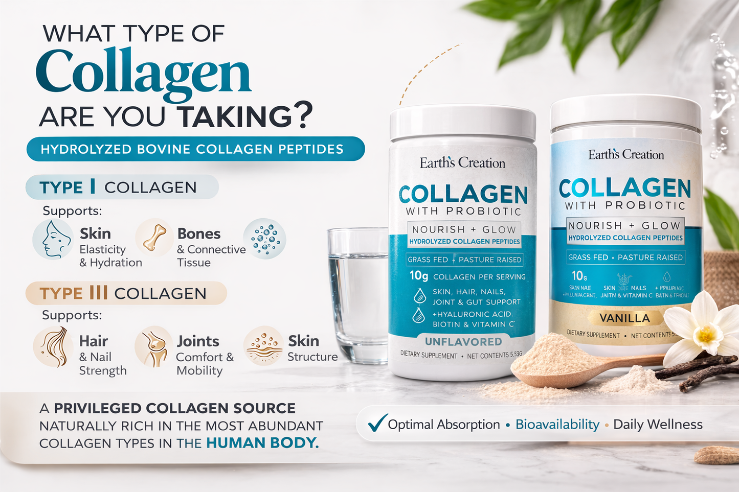 Vanilla Collagen with Probiotics